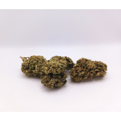 Fleurs CBD Moreau