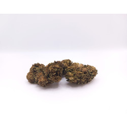 Fleurs CBD Pigerolles