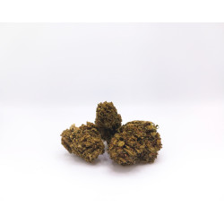 Fleurs CBD Creusoise