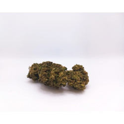 Fleurs CBD Painted Lady