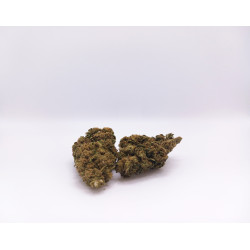 Fleurs CBD Kompolti Pigerolles