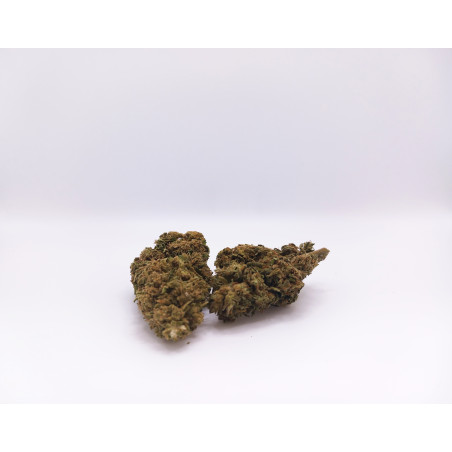 Fleurs CBD Kompolti Pigerolles Fleurs CBD Kompolti Pigerolles
