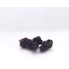 Fleurs CBD Blue Meringue